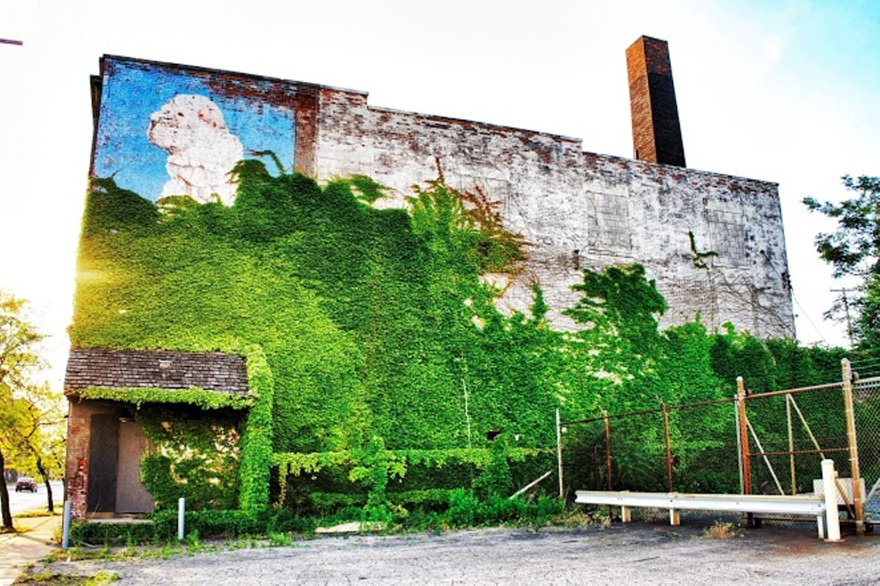 11 Photos of Cleveland's Graffiti Scene