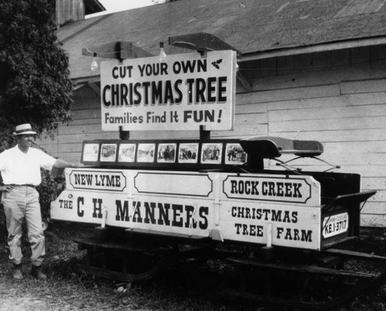 1962: A man stands next to an old bobsled, which now serves as a stand for a Christmas tree farm, at the county fair.