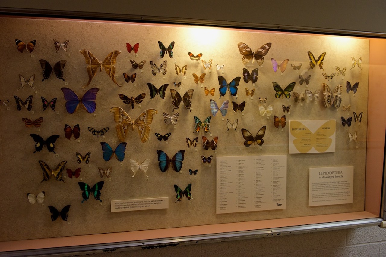 20 Photos from Our Recent Trip to the Cleveland Museum of Natural History
