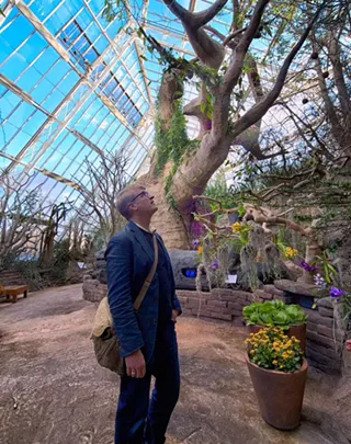 Image: All About Orchids