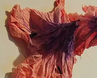 Image: Big Ass Paper and Bad Ass Shibori