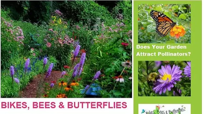 Image: BIKES, BEES & BUTTERFLIES NATIVE POLLINATOR PLANT SALE