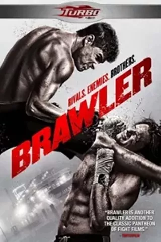Image: Brawler