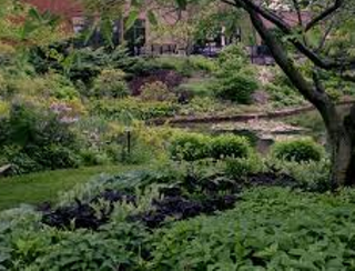 Image: Classics in the Garden