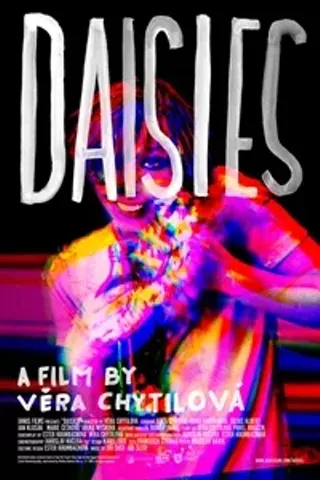Image: Daisies (Sedmikrasky)