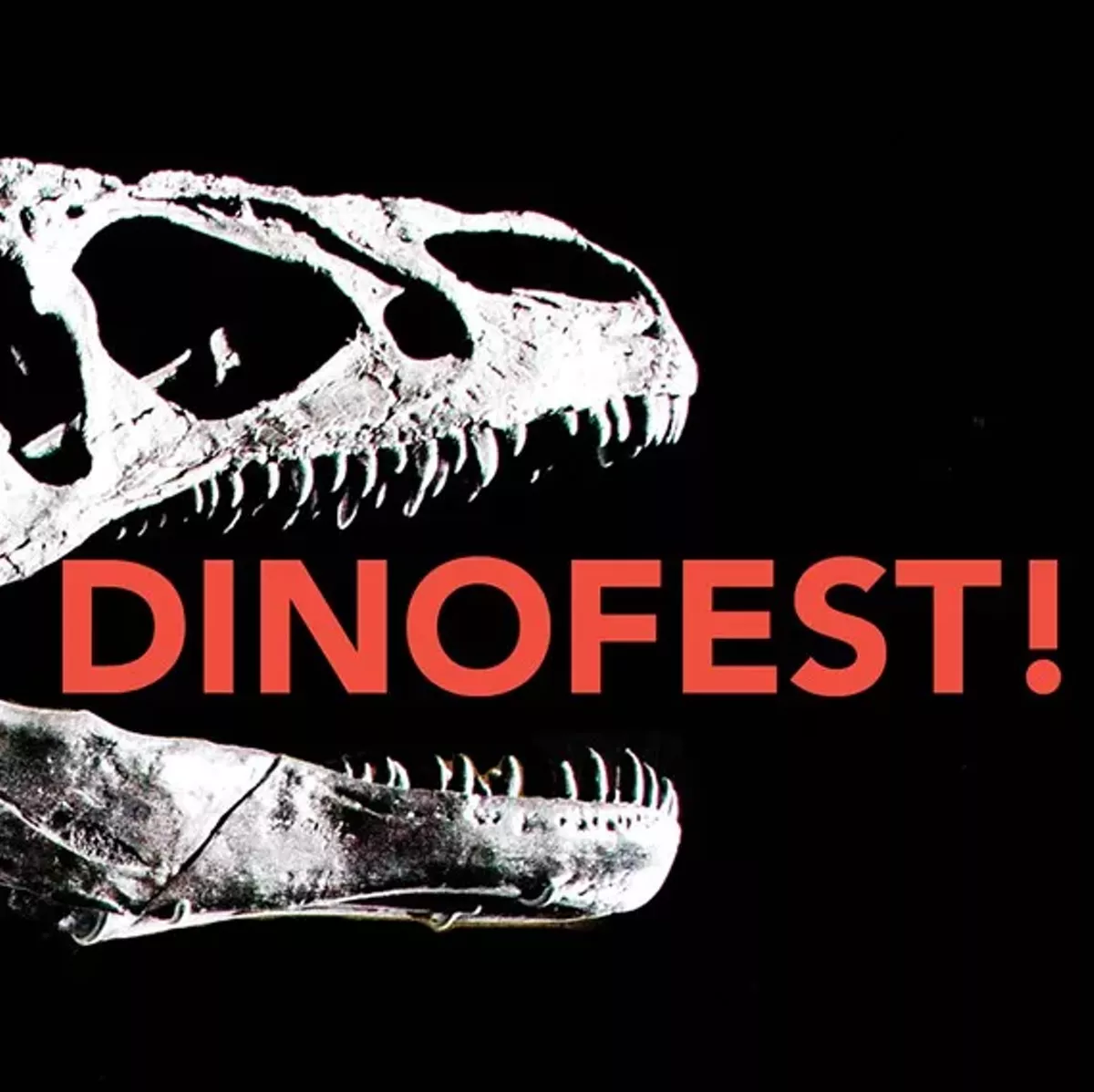 b4f36098_dinofest.webp