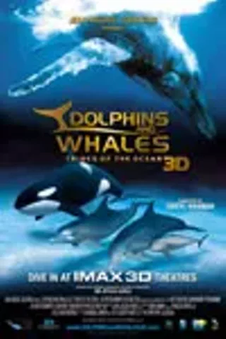 Image: Dolphins and Whales 3D: Tribes of the Ocean