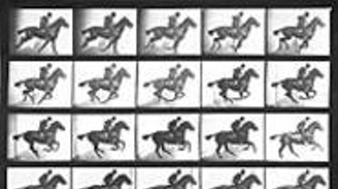Four off the floor: Muybridge's images of trotting 
    horses revealed their peculiar stride.