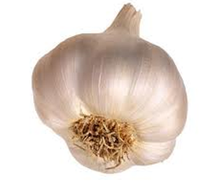 Image: Garlic Fest