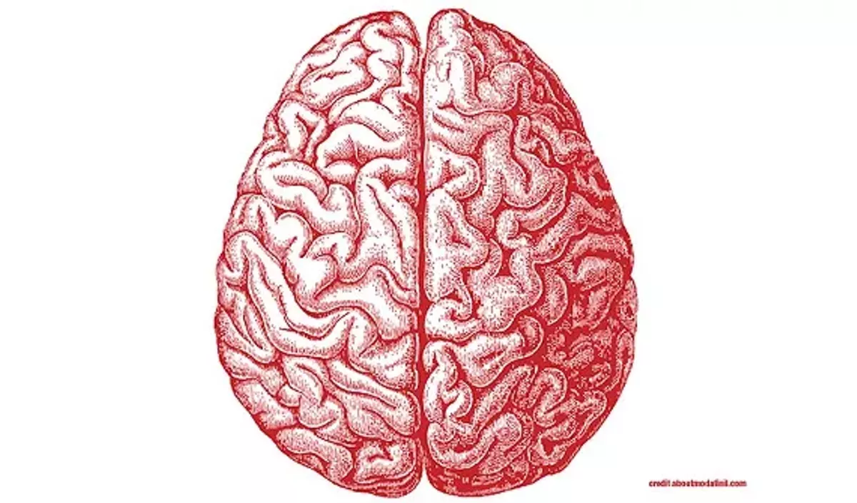 aa064e0f_14psychologyofpropaganda.webp