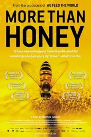 Image: More Than Honey