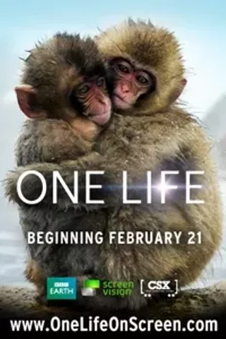 Image: One Life