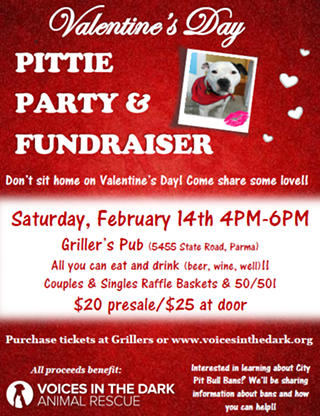 Image: Pittie Party & Fundraiser: Voices in the Dark Animal Rescue