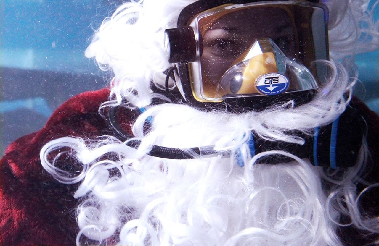 The Greater Cleveland Aquarium will be transformed into a sea-themed winter wonderland this holiday season. Icy decorations will adorn the exhibits, and Scuba Claus will be in town. This year, Scuba Claus will wear a diver communication mask, so he can talk to guests from inside the exhibits. Children will be able to gather for Scuba Claus’ 'Tis the Season story time, where they can listen to him read a story from inside the Shark SeaTube exhibit. Other attractions include the Discovery Zone, which will be transformed into an ice palace complete with a daily snowfall and elves. There will also be special events held throughout the season. It all kicks off today when the aquarium opens at 10 a.m. Winter Waterland continues through Jan. 5. Regular admission prices ($19.95 for adults and $13.95 for children) apply. (Rus)