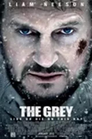 Image: The Grey