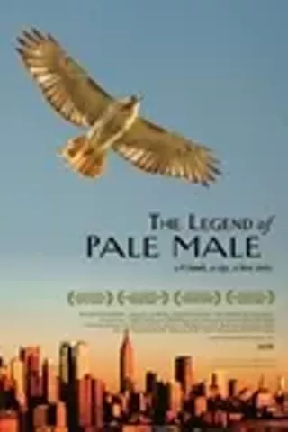 Image: The Legend of Pale Male
