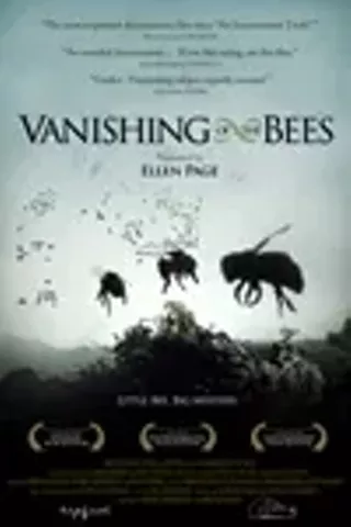 Image: The Vanishing of the Bees