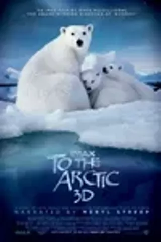 Image: To The Arctic IMAX 3D