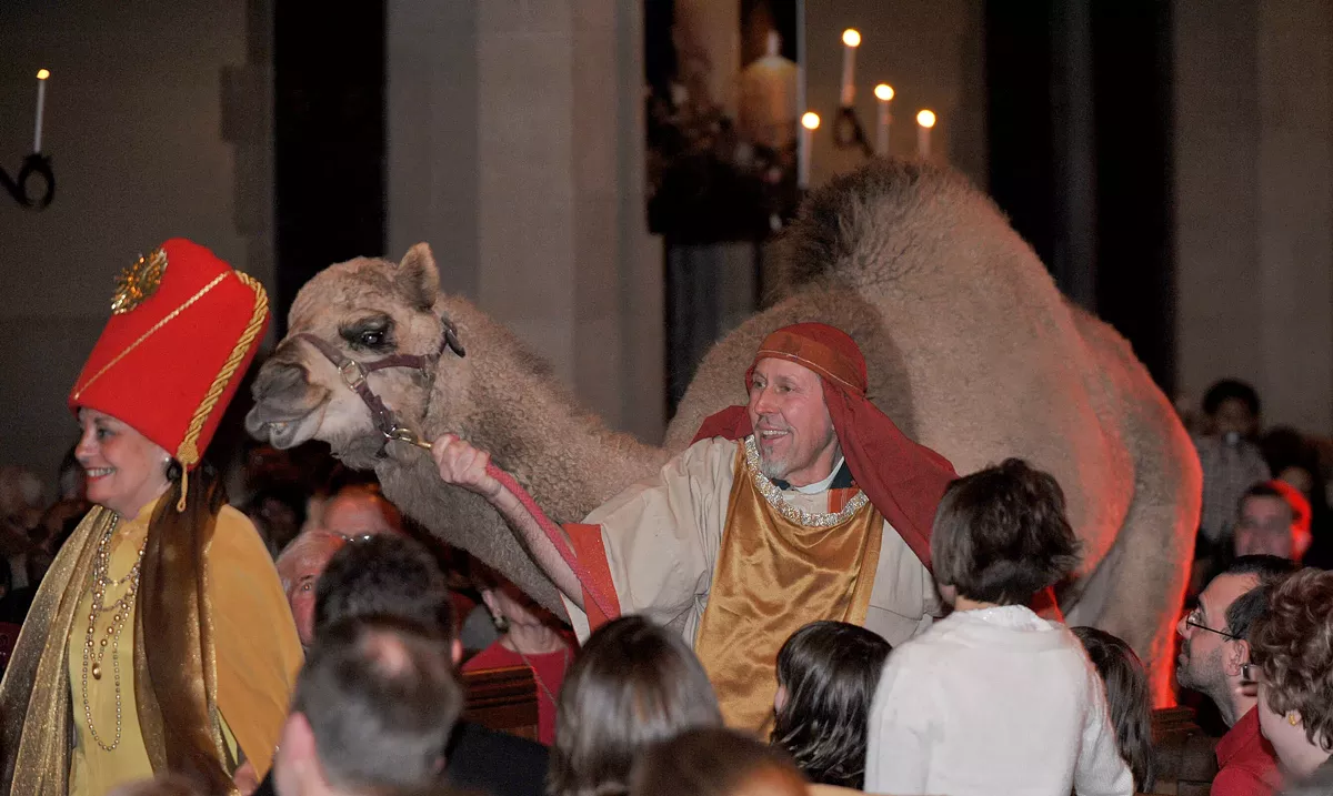 d27ab32f_fbc-camel.webp