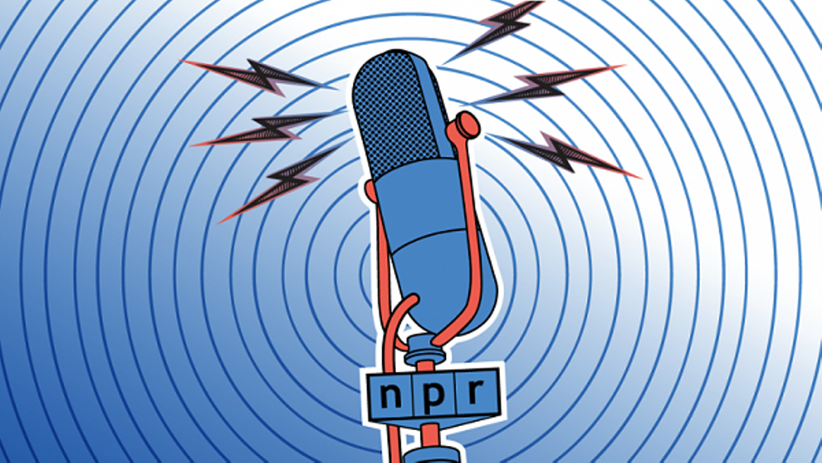 microphone_politics_1_npr.png