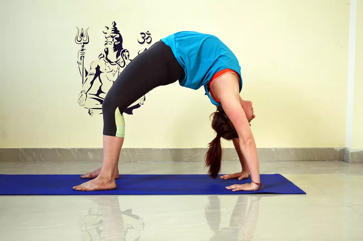 chakrasana.webp