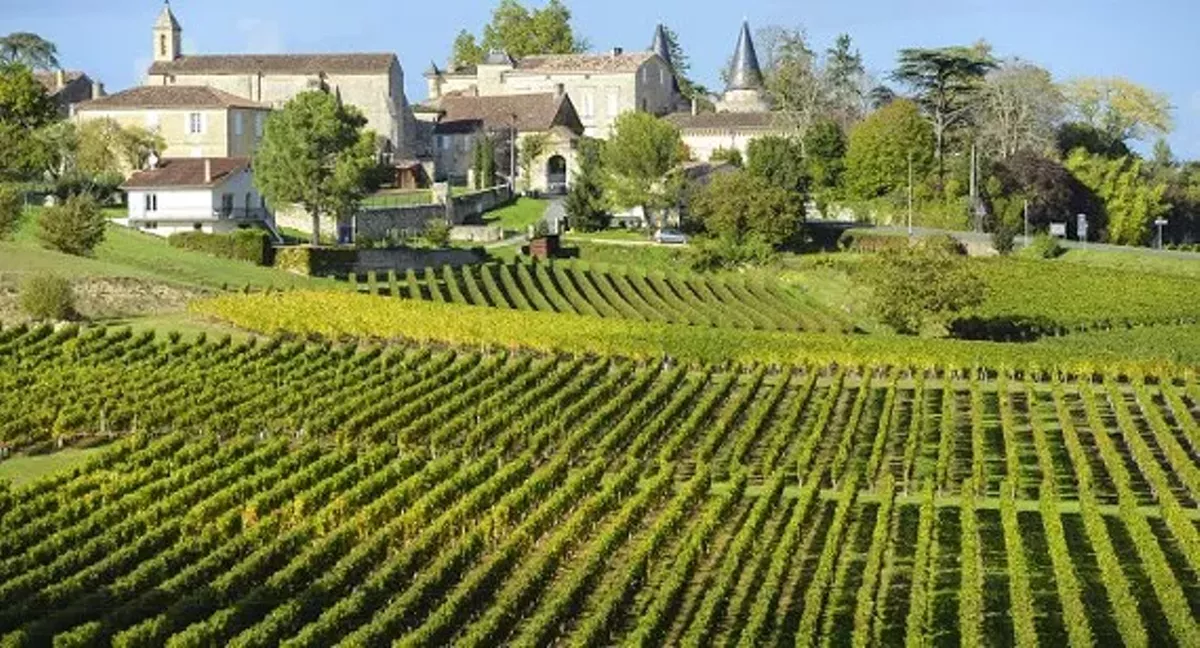 7ce12095_vineyard-saint-emilion-bordeaux-and-the-wine-country-france_main.webp