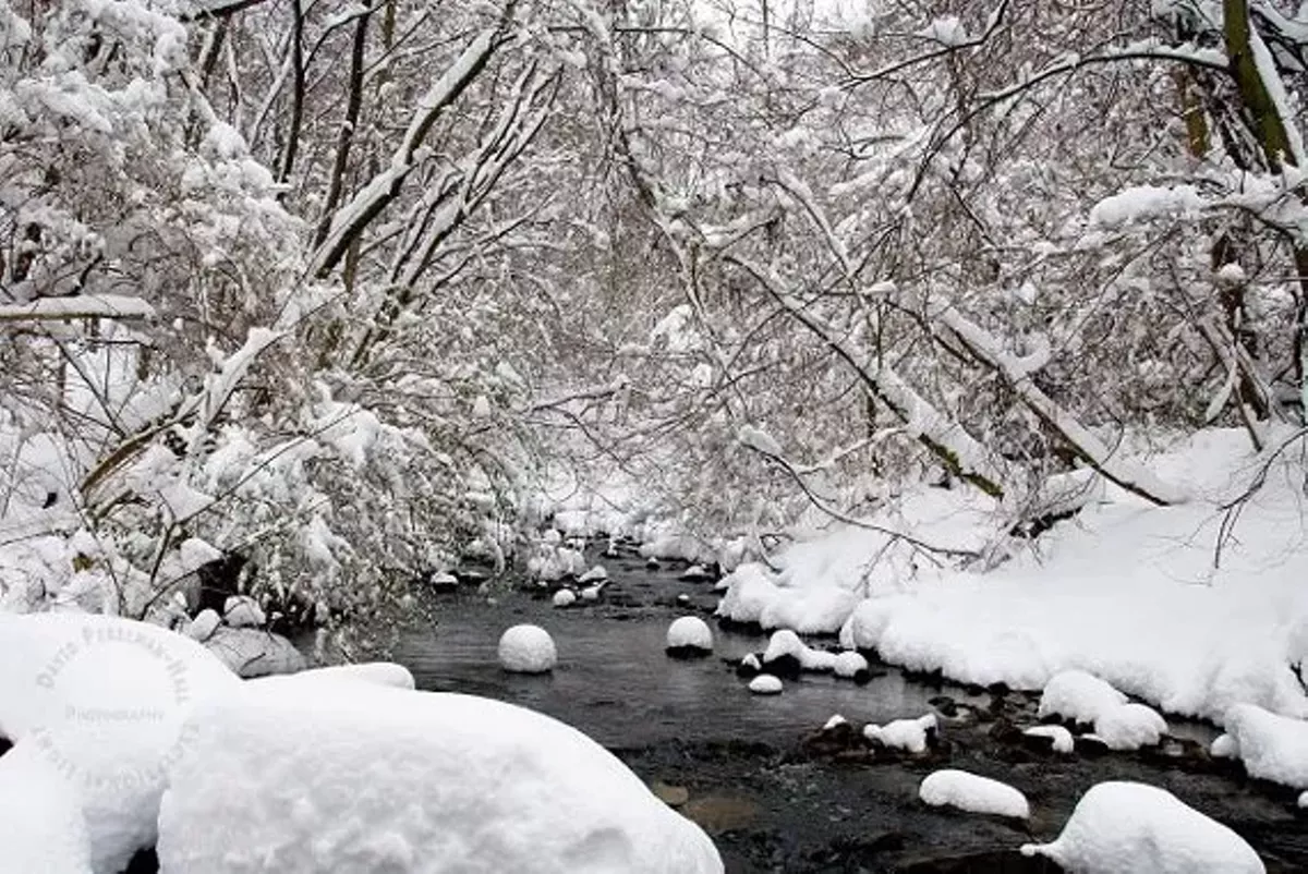 6c62d50c_winter_stream.webp