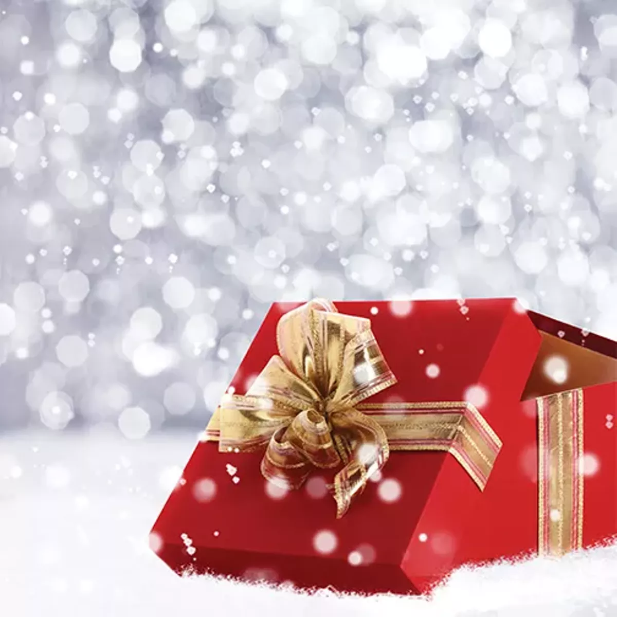 36c113fc_262526_tdc_gift_504x504.webp