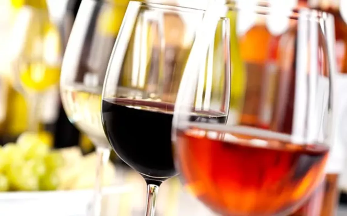 cefd279e_1695573135-wine-tasting.webp