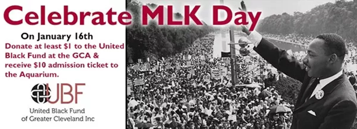 11dc938a_mlk-banner-17.webp