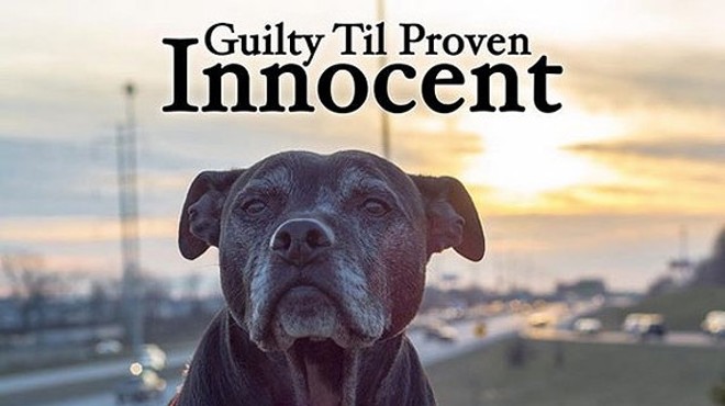 "Guilty Til Proven Innocent" premier