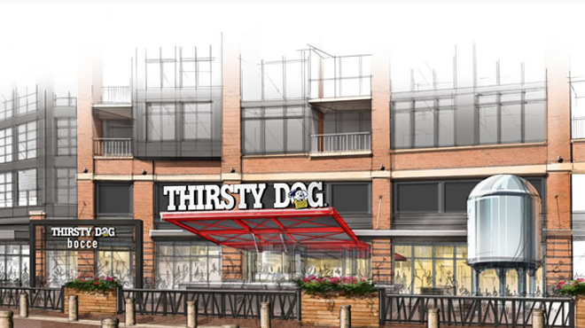Thirsty Dog in the Flats Opens Wednesday