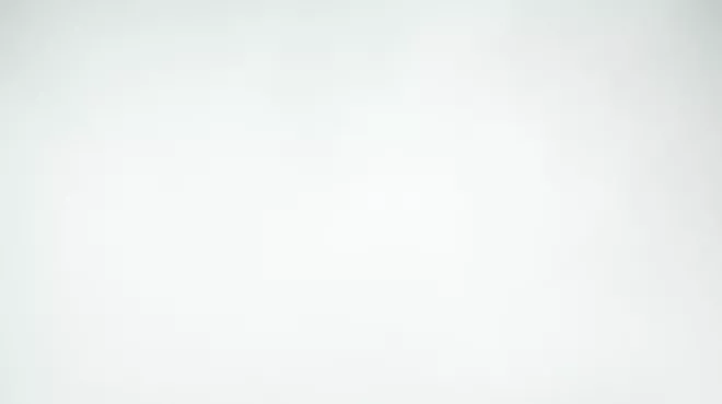 Image: The Barefoot Movement