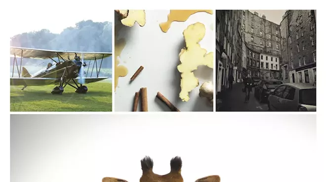 Image: Kalman & Pabst Photo Group's 2018 Fine Art Show