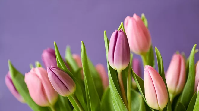 Image: Mother's Day Brunch