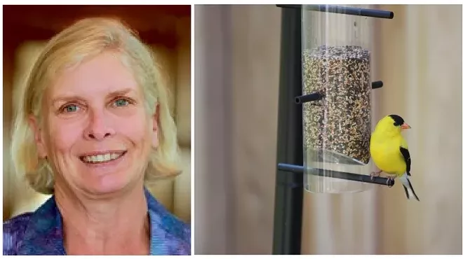 Image: Bent Science: Birds in Your Backyard