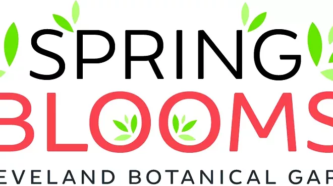 Image: Spring Blooms