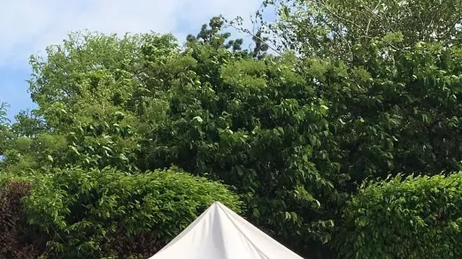 Image: Friends of the Greenhouse Annual Plant Sale