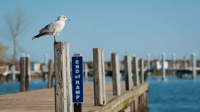 Image: Our Great Lake