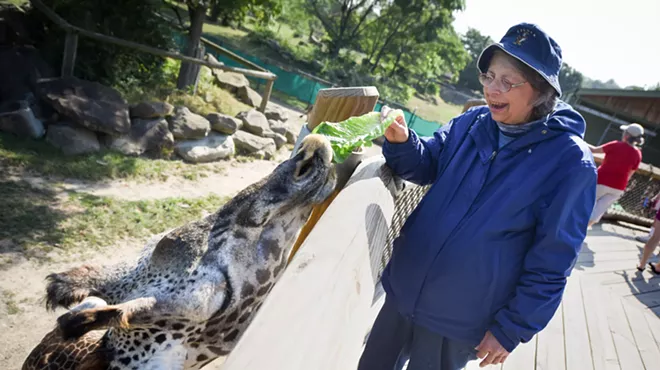 Image: Senior Safari