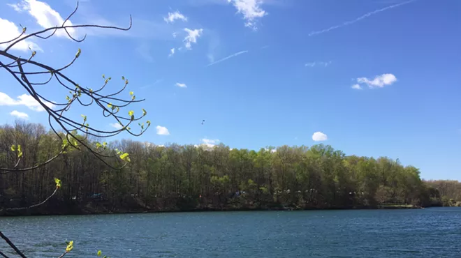 Image: Spring Badfish