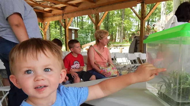 Image: Critter Tuesday