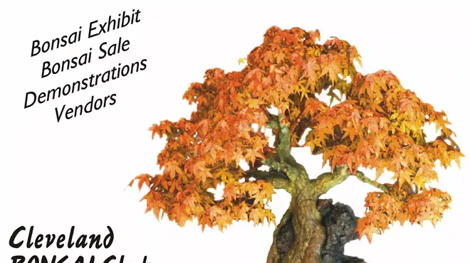 Image: Cleveland Bonsai Club Fall Show