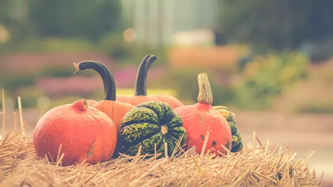 Image: Dinner in the Valley: HALEoween