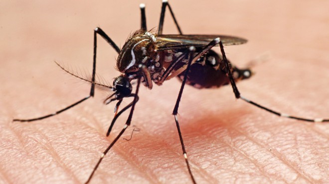 Medical Examiners Confirm Second Case of West Nile Virus in Cuyahoga County