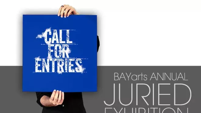 Image: BAYarts Juried Exhibition Opening reception