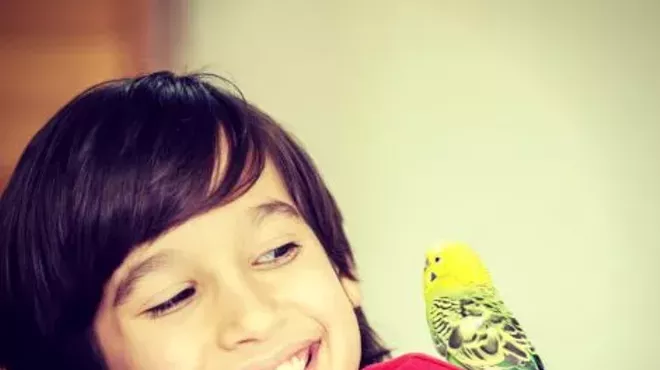 Image: Family Fun - Animals of Israel