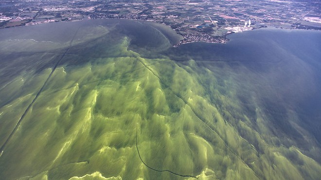 Reducing Harmful Lake Erie Algal Blooms: What Will It Take?