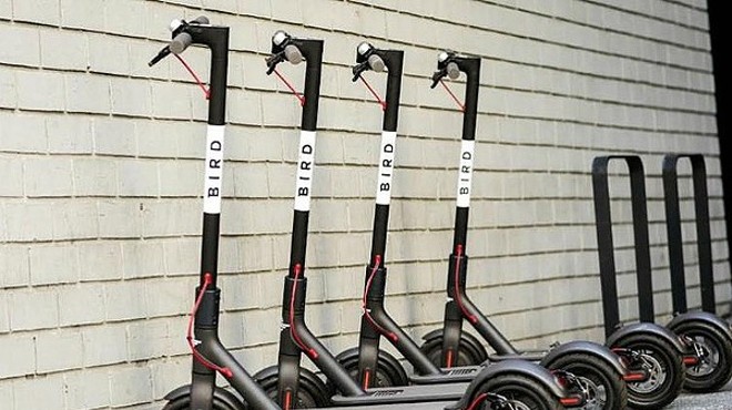 Bird Scooters Now Available for Rental in Cleveland, More on the Way