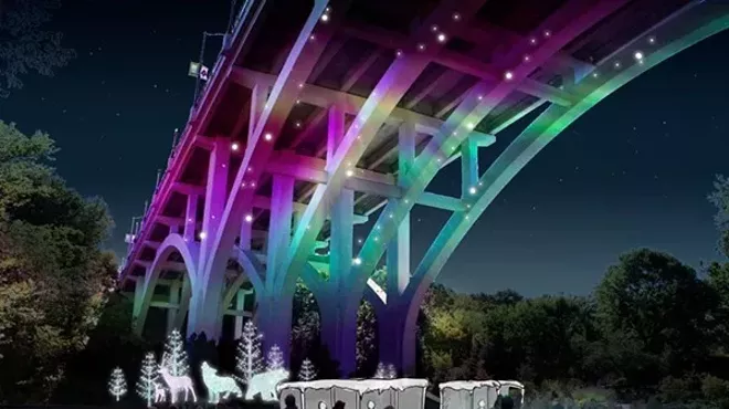 Image: The Wild Winter Lights Festival